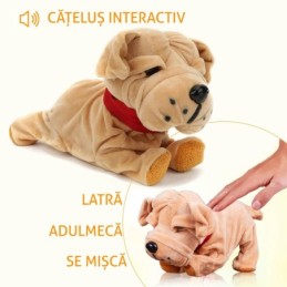 Catel interactiv, buldog...