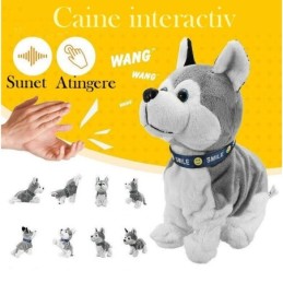 Catel husky interactiv,...