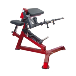Aparat biceps AOC FITNESS,