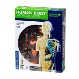 Kit STEM Anatomia corpului...